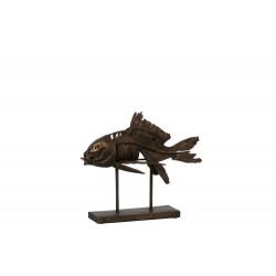 Fossile Poisson S