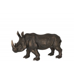 Rhinocéros L