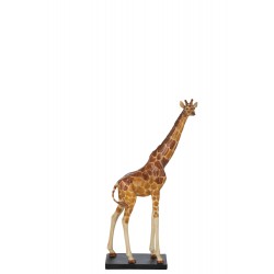 Girafe S